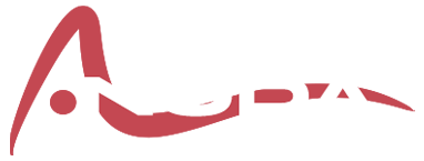 demo2.cybermickey.com